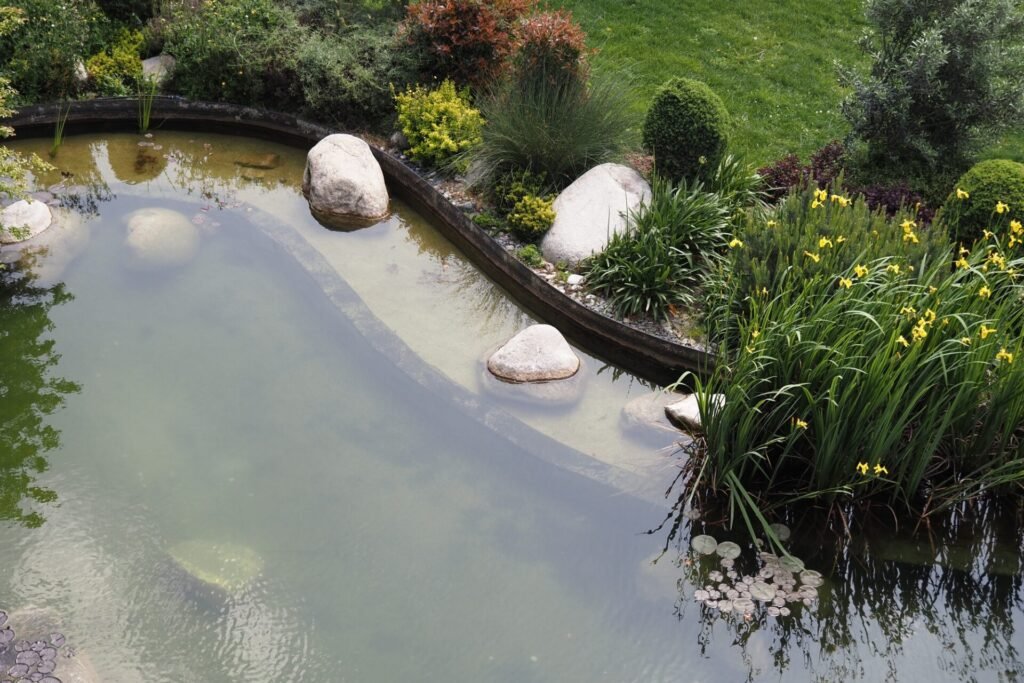 Decorative plants in a small pond with trees around
