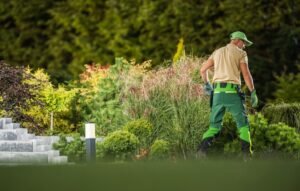 tuinonderhoud in Bakel